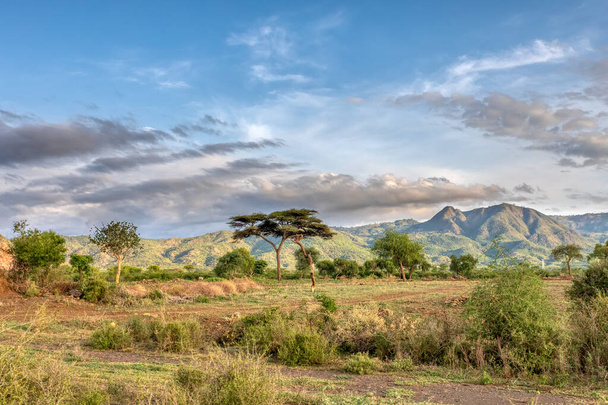 Эфиопский пейзаж вблизи Арба-Минча, Эфиопия
 - Фото, изображение