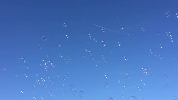 buborék buborékok úszó háttér szappan másolat buborék úszó szappan sodródás kék ég felhők állomány, fotó, fénykép, kép, képtér - stock videó - Felvétel, videó