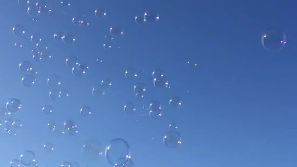 buborék úszó háttér szappan másolat buborék buborékok úszó szappan sodródás a kék ég felhők állomány, fotó, fénykép, kép, képtér - stock videó - Felvétel, videó