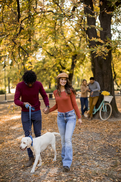 Multiracial pareja joven paseando con el perro en el parque de otoño
 - Foto, imagen