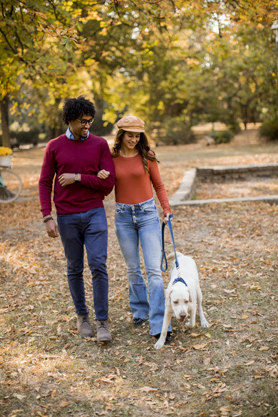 Multiracial jeune couple marche avec chien dans le parc d'automne
 - Photo, image
