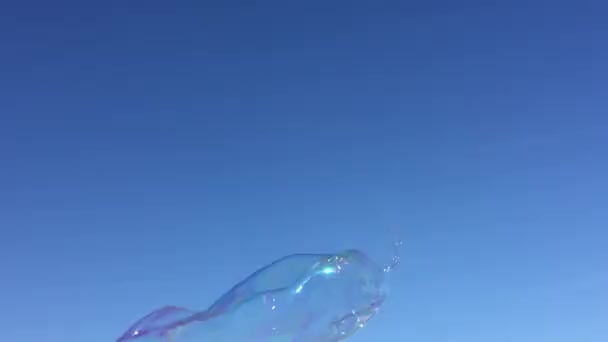Kabarcık yüzen arkaplan sabun köpüğü. Yüzen baloncuk. Mavi gökyüzünde yüzen sabun. - Video, Çekim