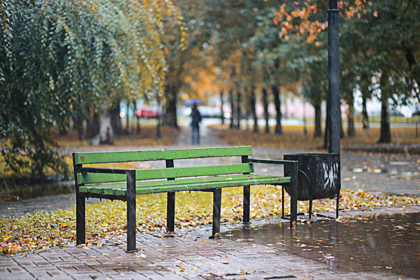 őszi eső a parkban - Fotó, kép