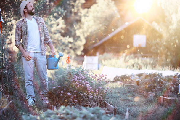 Rolnik człowiek podlewanie ogrodu warzywnego - Zdjęcie, obraz