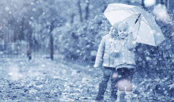 子供たちは公園の最初の雪の中を歩く - 写真・画像