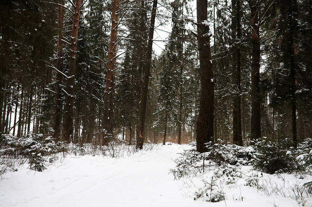 Kırsal alanların ve yolların kış manzarası - Fotoğraf, Görsel