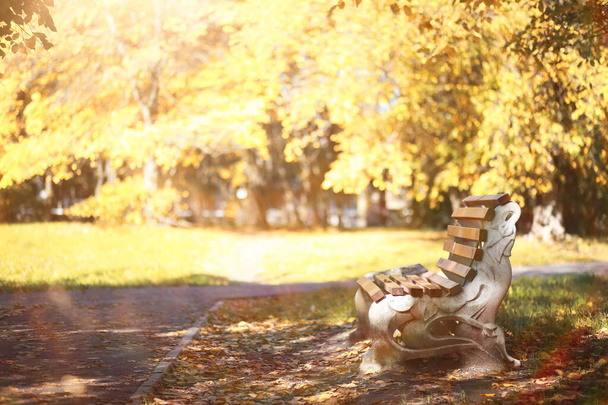 Autumn background in the park - Photo, Image