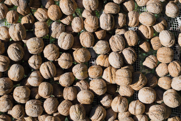 walnuts fresh harvest background - Photo, Image