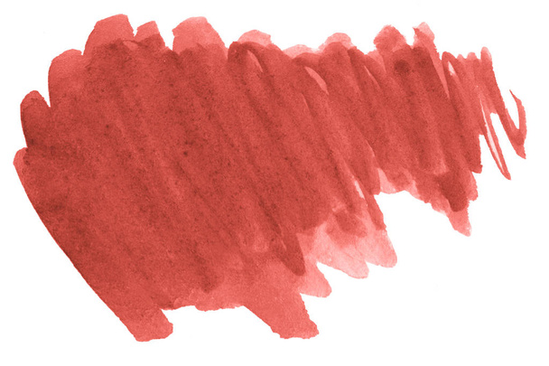 Živé korálové akvarel je trend barva, izolované místo s rozvody a hranice. Rámec s prostorem pro kopírování textu. - Fotografie, Obrázek