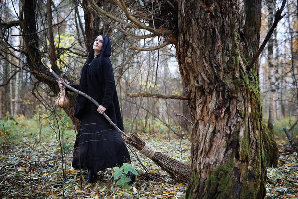 A woman in a witch suit in a forest - Photo, image