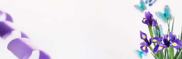 Fioletowe irysy na białym tle - Zdjęcie, obraz