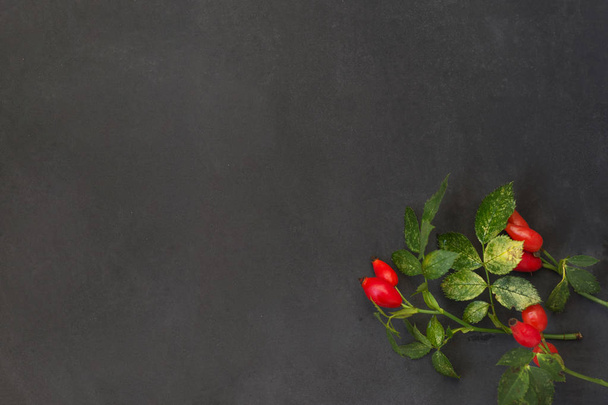 Dog rose (rose hips, briar, brier) berries and leaves on  dark concrete background.  With copy space - Фото, зображення
