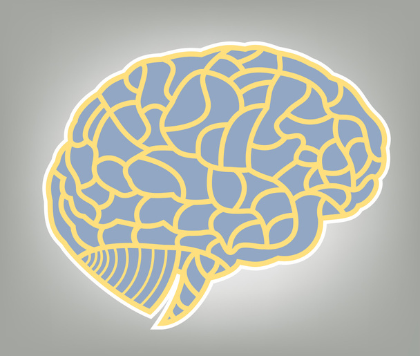 Мозговая модель. Иллюстрация EPS10
 - Вектор,изображение