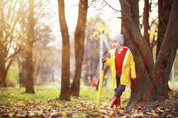 Children walk in the autumn park - Фото, изображение
