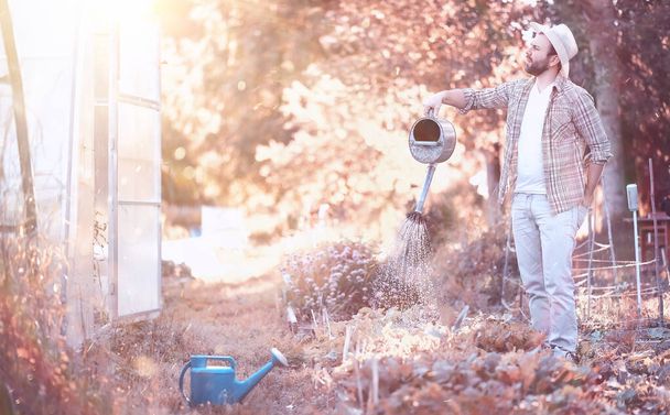 Людина фермер поливає овочевий сад
 - Фото, зображення