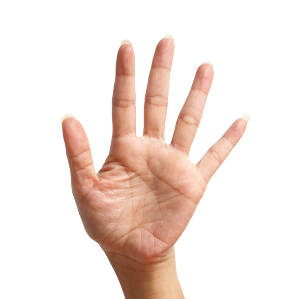 Cinco sinal levantar, fazendo à mão isolado sobre backgro branco
 - Foto, Imagem