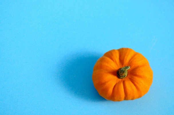 Single fresh orange miniature pumpkin isolated on blue background. Top view of fresh whole pumpkins with copy space on blue background. fresh whole pumpkins with copy space on blue background. Thanksgiving and Halloween concept. - Fotografie, Obrázek