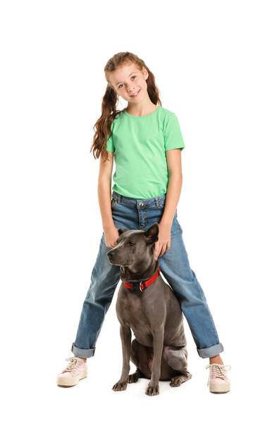 kleines Mädchen mit niedlichem Hund auf weißem Hintergrund - Foto, Bild