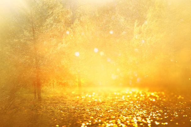 concept achtergrond foto van licht barsten tussen de bomen en glitter gouden bokeh sprankelingen - Foto, afbeelding