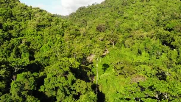 Зеленые джунгли на холмах. Тропические деревья, растущие на холмистой местности острова Самуи. Путь к водопаду между горами вид беспилотника. Пейзаж тропических лесов Азии. Концепция охраны окружающей среды
 - Кадры, видео