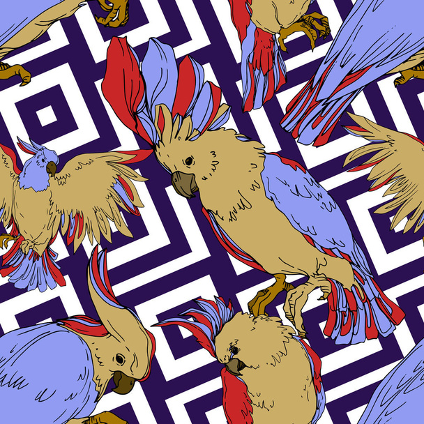Vektor Himmelsvogel Kakadu in einer Tierwelt isoliert. Schwarz-weiß gestochene Tuschekunst. nahtloses Hintergrundmuster. - Vektor, Bild