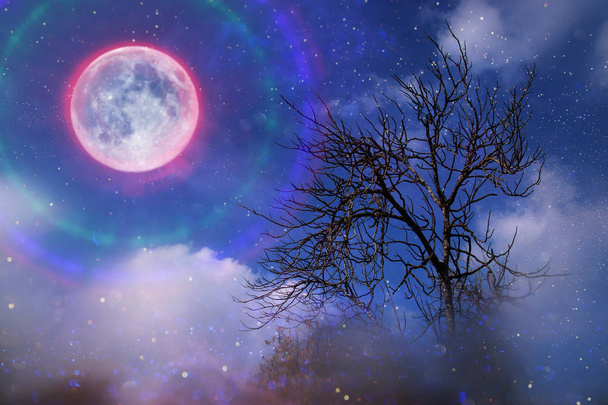 Image de fond de la pleine lune avec halo pendant la nuit noire et arbre solitaire
 - Photo, image