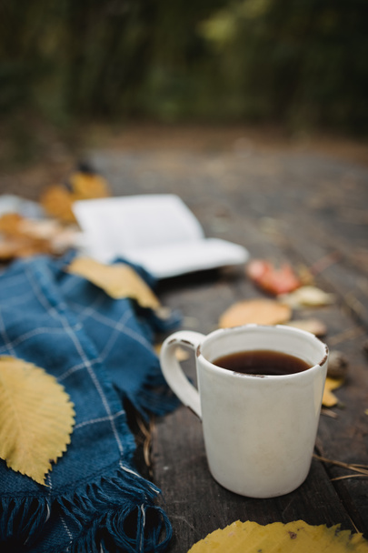 秋の公園の古い木製のテーブルの上には、オープンブック、青いプレイ、ライト付きのガーランド、黄色の葉とソスコーンのカップがあります。トップビュー、ぼかし。秋暖かい暗い気分、柔らかい焦点. - 写真・画像
