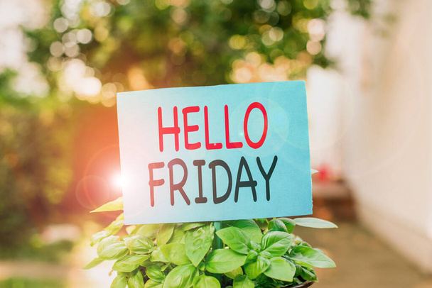 Writing note showing Hello Friday. Business photo showcasing Greetings on Fridays because it is the end of the work week Plain paper attached to stick and placed in the grassy land. - 写真・画像