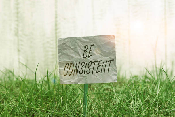Conceptual hand writing showing Be Consistent. Business photo text Uniform Persistent Firm Unalterable Even Unchanging Rapport Plain paper attached to stick and placed in the grassy land. - Photo, Image