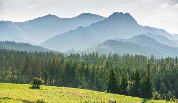 Misty Tatra Mountains - uitzicht vanaf het dorp Murzasichle - Foto, afbeelding