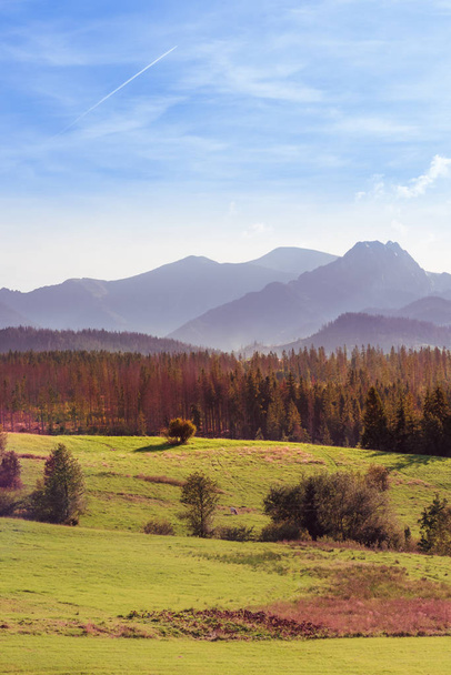 Outono nas Montanhas Tatra - manhã enevoada, árvores coloridas
 - Foto, Imagem