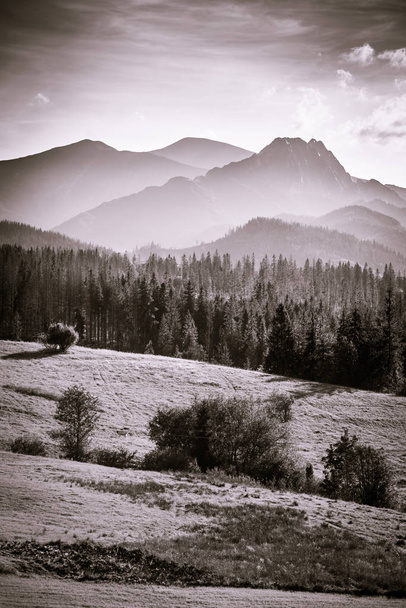 Les montagnes Tatra - montagnes rocheuses spectaculaires dans le sud de la Pologne
 - Photo, image