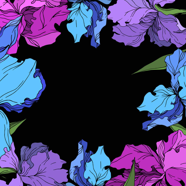 Vector Iris floral botanical flowers. Black and white engraved ink art. Frame border ornament square. - Vector, Image