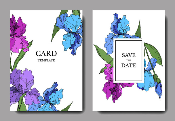 Vector Iris flores botánicas florales. Tinta grabada en blanco y negro. Boda tarjeta de fondo borde decorativo
. - Vector, imagen