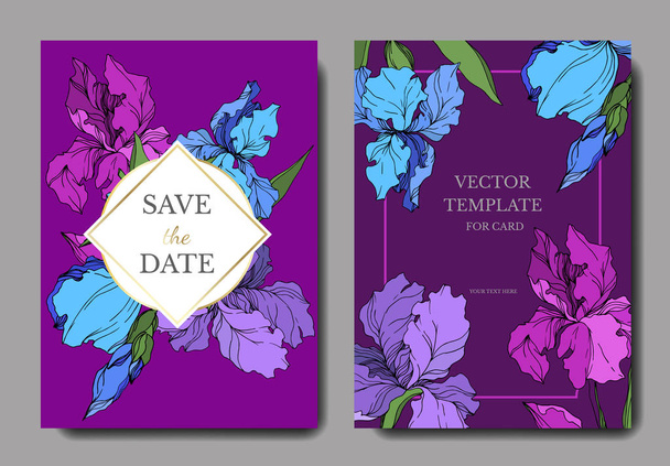 Vektor-Iris florale botanische Blumen. Schwarz-weiß gestochene Tuschekunst. Hochzeit Hintergrund Karte dekorative Grenze. - Vektor, Bild
