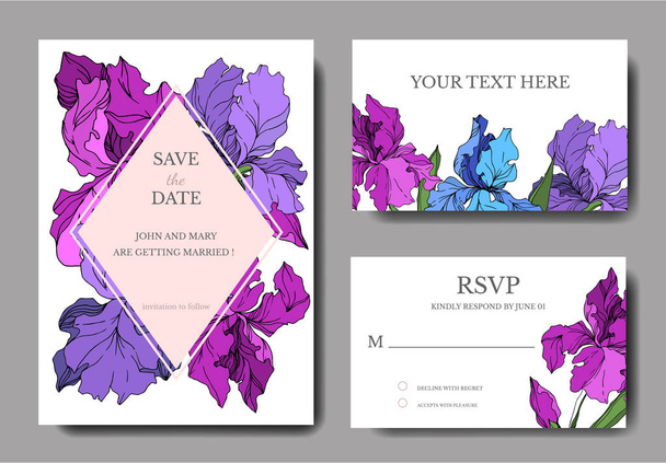 Vektor Iris virágos botanikai virágok. Fekete-fehér vésett tinta Art. Esküvői háttér-kártya dekoratív határon. - Vektor, kép