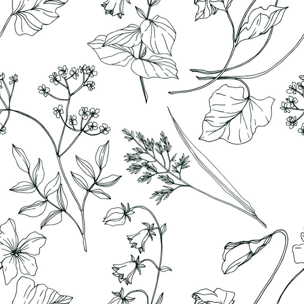 Vector Wildflowers floral botanical flowers. Black and white engraved ink art. Seamless background pattern. - Вектор,изображение