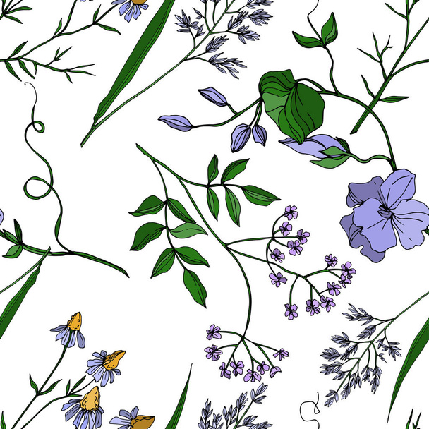 Vector Wildflowers floral botanical flowers. Black and white engraved ink art. Seamless background pattern. - Vetor, Imagem