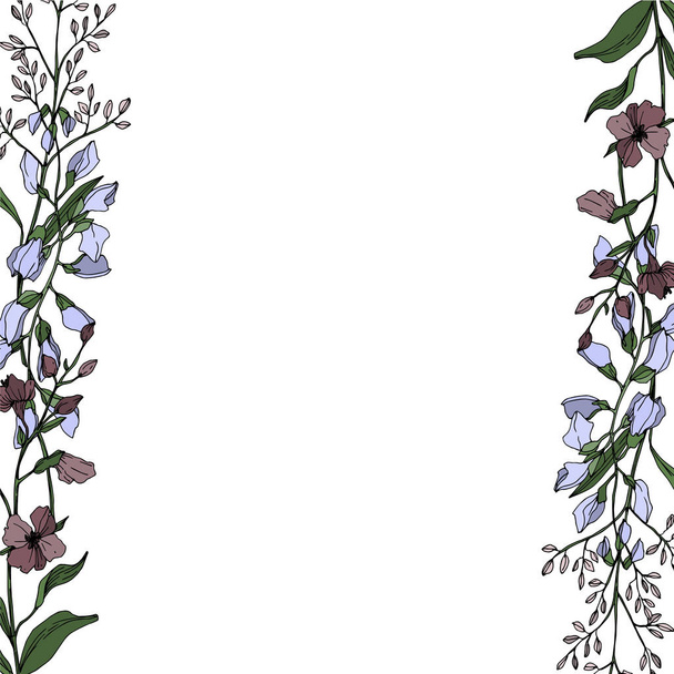 Vecteur Fleurs botaniques florales sauvages. Encre gravée en noir et blanc. Cadre bordure ornement carré
. - Vecteur, image