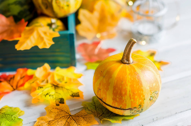 カボチャと葉とろうそくを持つ秋の背景 - 写真・画像