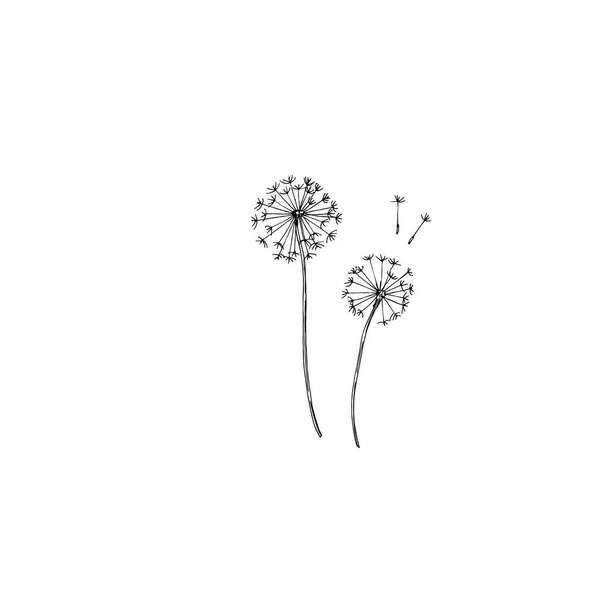 Vector Wildflowers floral botanical flowers. Black and white engraved ink art. Isolated flower illustration element. - Vector, Image