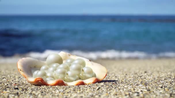 Skorupa z perłami na oceanicznej plaży. Małe rozmyte fale podnoszą się z tyłu. - Materiał filmowy, wideo