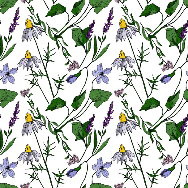 Vector wildflower floral botanical flowers. Black and white engraved ink art. Seamless background pattern. - Wektor, obraz