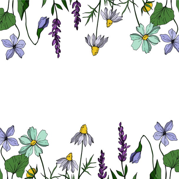 Vektorwildblume Blumen botanischen Blumen. Schwarz-weiß gestochene Tuschekunst. Rahmen Rand Ornament Quadrat. - Vektor, Bild
