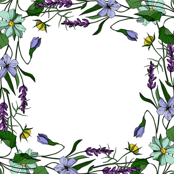Vector Wildflower flores botânicas florais. Tinta gravada a preto e branco. Quadro borda ornamento quadrado
. - Vetor, Imagem
