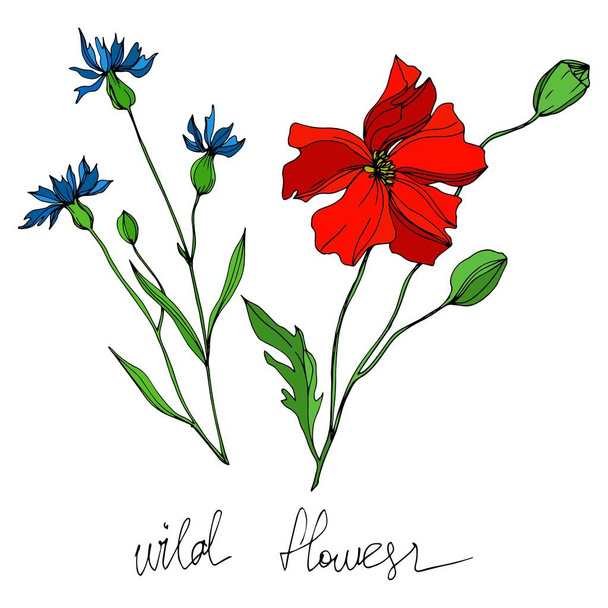 Wektor Wildflowers kwiatowe kwiaty botaniczne. Czarno-biała grawerowana sztuka tuszu. Izolowane kwiaty element ilustracji. - Wektor, obraz