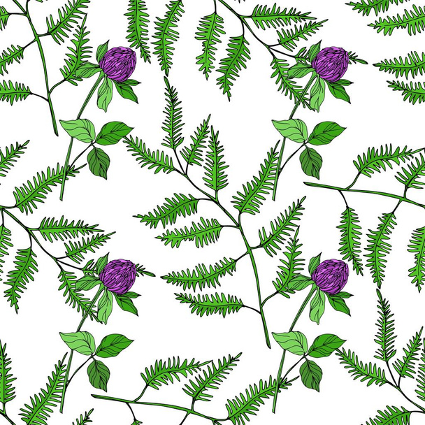 Vektorwildblumen florale botanische Blumen. Schwarz-weiß gestochene Tuschekunst. nahtloses Hintergrundmuster. - Vektor, Bild