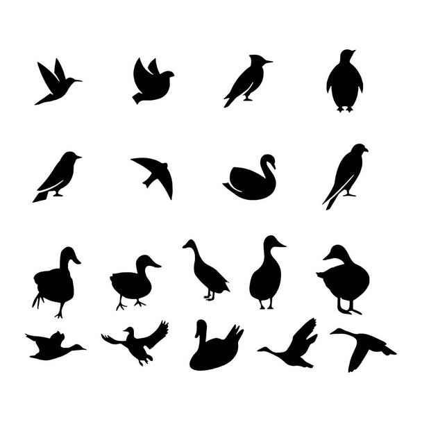 Піктограма птахів ізольовано на фоні Векторні ілюстрації
 - Вектор, зображення