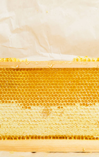 Honeycombs on the frame. Frame with natural fresh honeycombs. Texture. Background - Foto, afbeelding