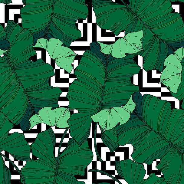 Vector Palm beach tree leaves jungle botanical. Black and white engraved ink art. Seamless background pattern. - Vettoriali, immagini